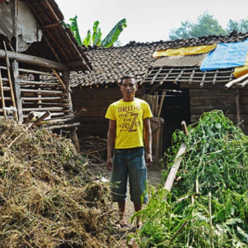 INDONESIEN IJEN 2014